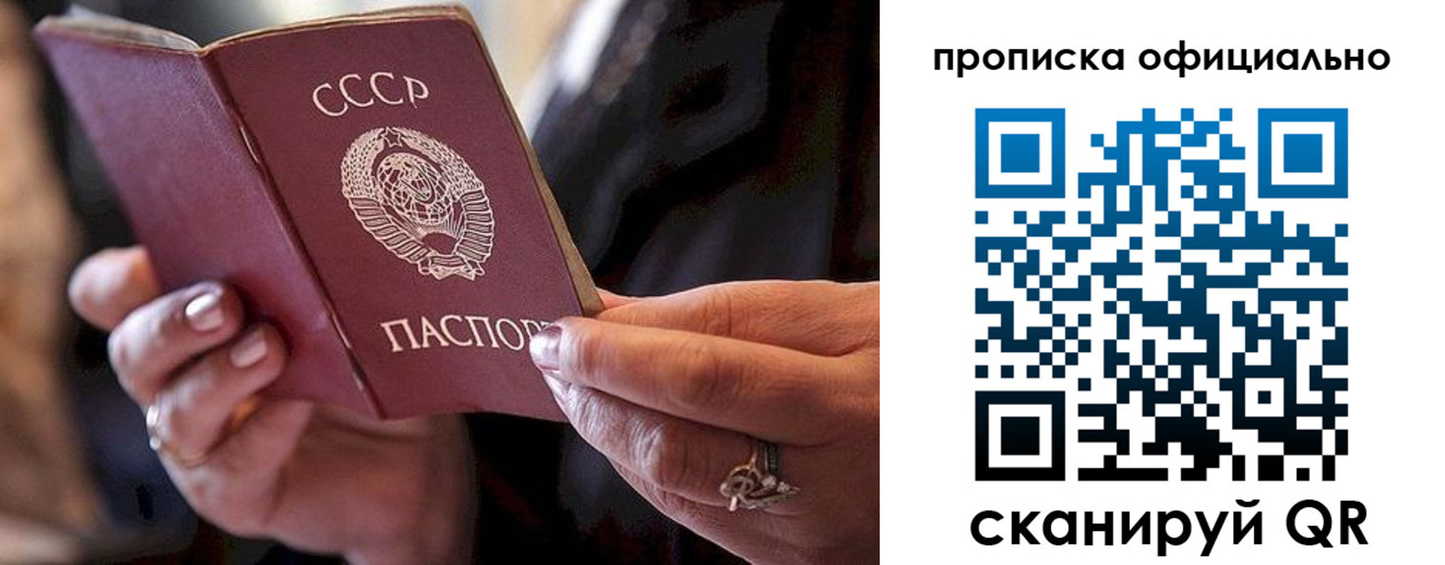 прописка в Чистополье